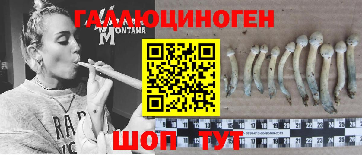 Нальчик  Галлюциногенные грибы мухоморы  Вход с VPN  Псилоцибиновые грибы мухоморы 